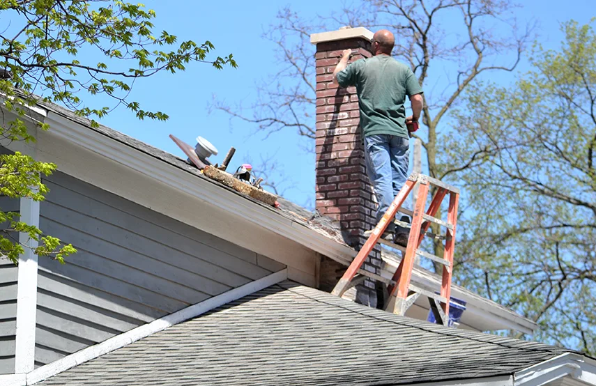 Chimney & Fireplace Inspections Services in Ives Estates, FL